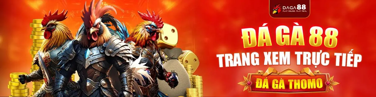 Đá Gà Trực Tuyến ibet188 nhà cái