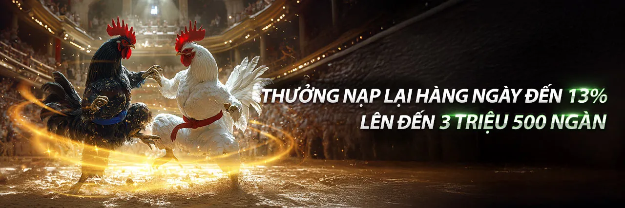 Hình ảnh tiêu đề blog ibet188 nhà cái